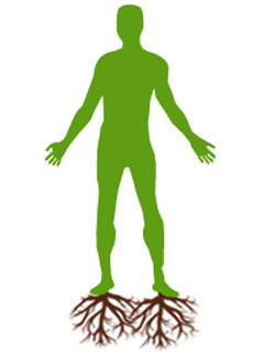 A green man illustration with brown roots growing from his feet into the earth with a light blue egg around him.