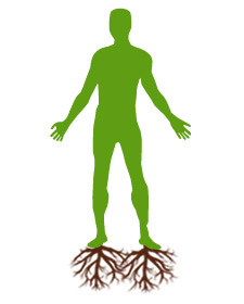 Image of a silhouette of an outline of a green man with brown roots coming from his feet growing downwards, representing a grounded person.