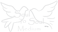 soul To Soul Medium Logo which contains the words in red, blue and orange over two grey doves facing each other with the copyright 2015 ECG